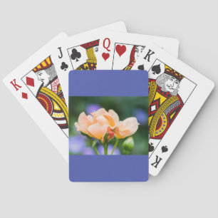 Baraja De Cartas deseo de desarrollo