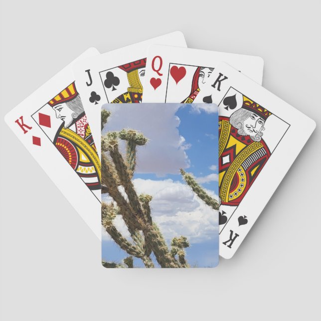 Baraja De Cartas Desert Cactus Blu Sky (Reverso)