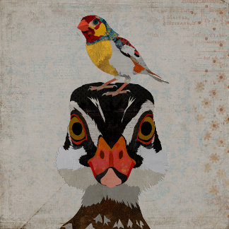 BARAJA DE CARTAS DESERT FEATHERS