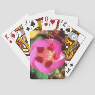 Baraja De Cartas Desierto cinco puntos de flor silvestre