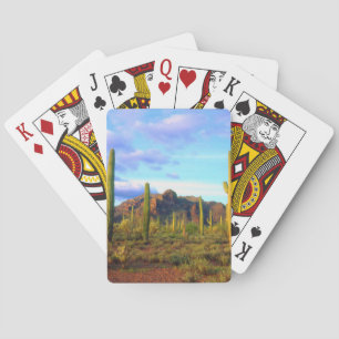Baraja De Cartas Desierto en primavera