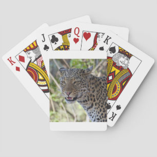 Baraja De Cartas Destino del país de la selva de África, animal de