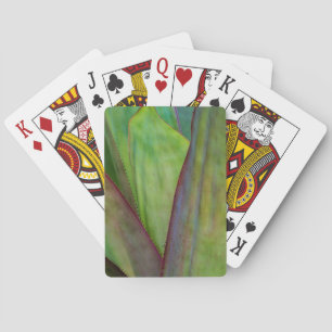 Baraja De Cartas Detalle de la planta de agave