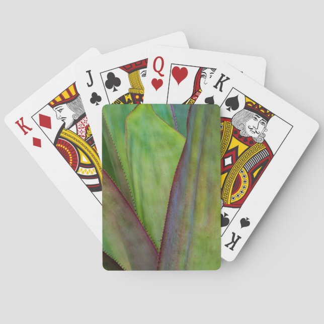 Baraja De Cartas Detalle de la planta de agave (Reverso)