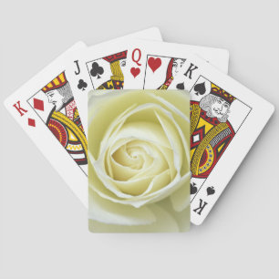 Baraja De Cartas detalles de cerca de rosa blanca