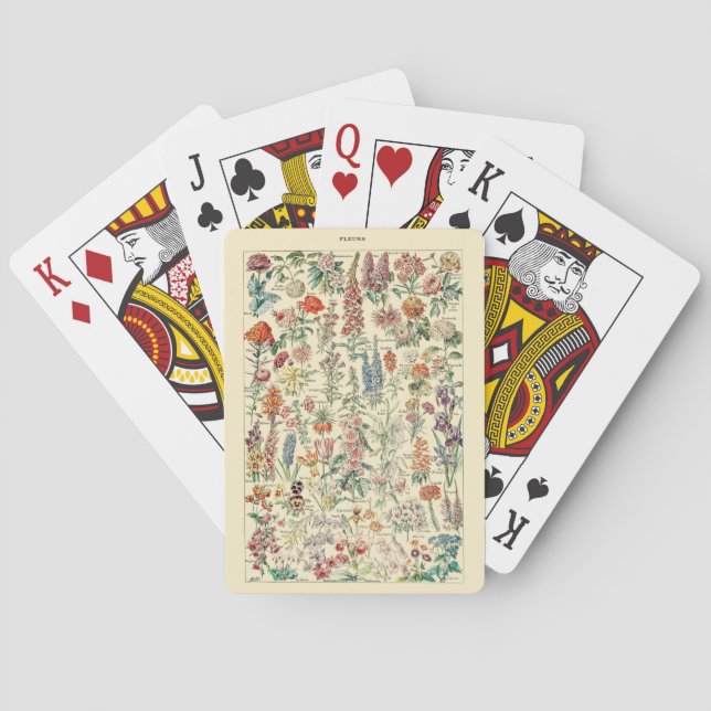 Baraja De Cartas Diagrama de flores silvestres botánicas (Reverso)