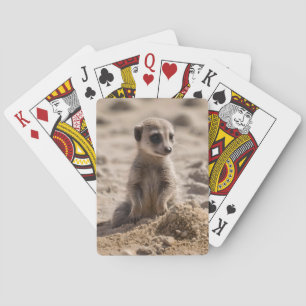 Baraja De Cartas "Días soleados: La aventura del bebé Meerkat en la