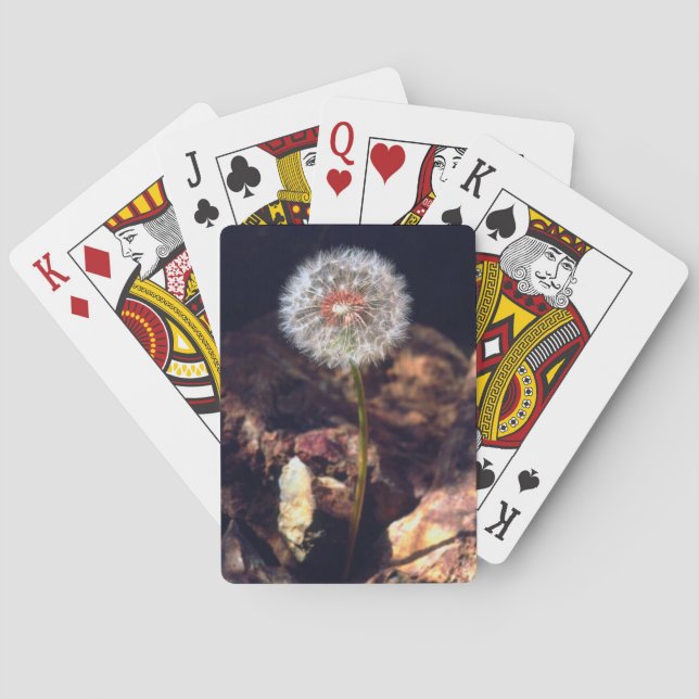 Baraja De Cartas Diente de león (Reverso)