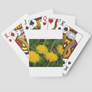Baraja De Cartas Dientes de león