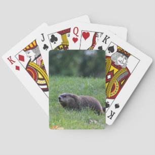 Baraja De Cartas Digger del agujero del diablo