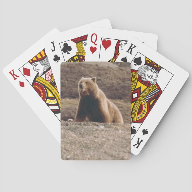 Baraja De Cartas Diseño de la foto del Arctic Alaska Tundra Grizzly (Reverso)
