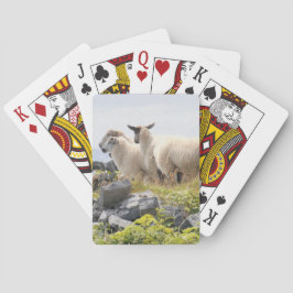 Baraja De Cartas Diseños peculiares - ovejas en un campo