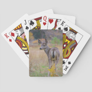 Baraja De Cartas Doe
