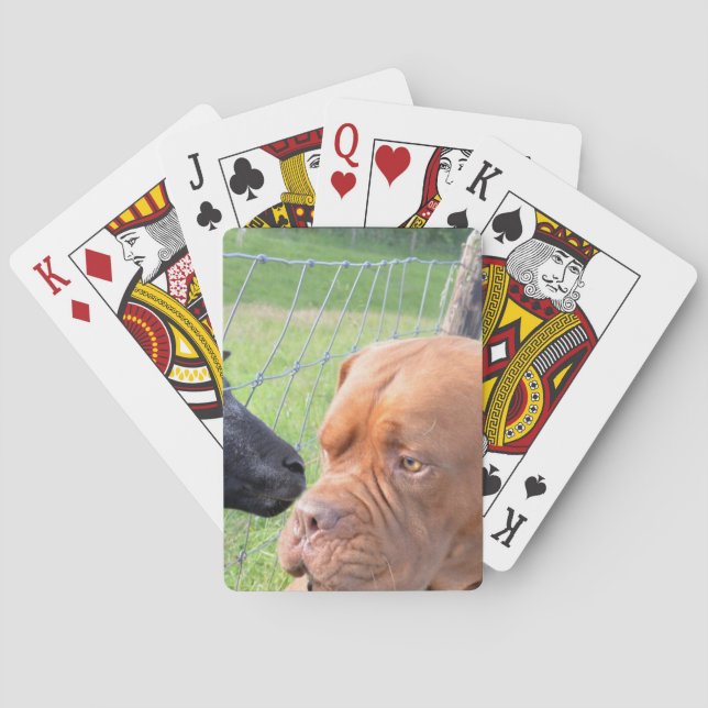 Baraja De Cartas Dogue de Bordeaux (Reverso)