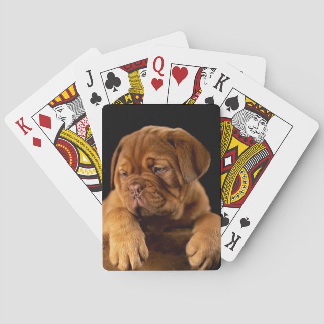 Baraja De Cartas Dogue de Bordeaux - Cachorro escarpado francés (Reverso)