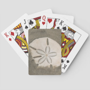 Baraja De Cartas Dólar de arena (Echinarachnius parma)