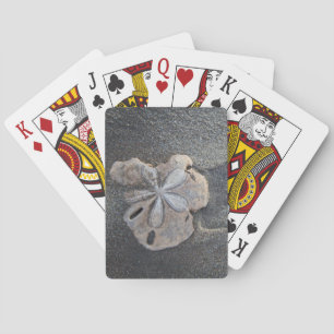 Baraja De Cartas Dólar de arena en arena