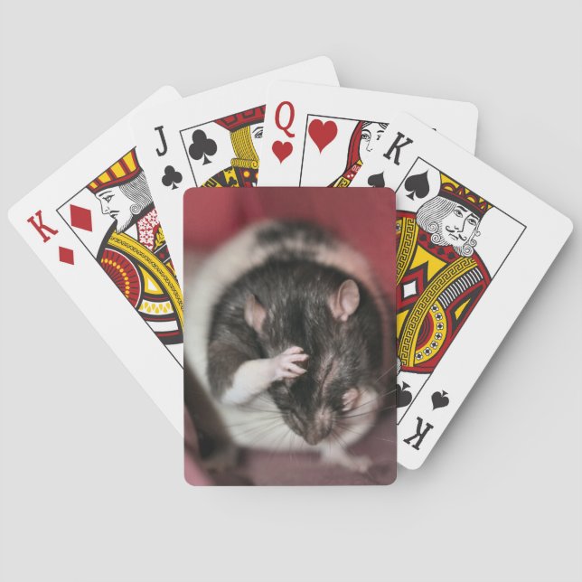 Baraja De Cartas ¡Dolor de cabeza! (Reverso)