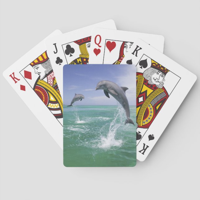 Baraja De Cartas Dolphins Bottlenose Tursiops truncatus (Reverso)