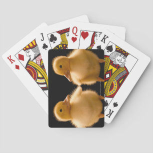 Baraja De Cartas Dos anadones que miran uno otro