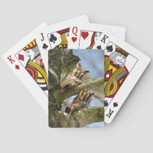Baraja De Cartas Dos búhos en el bosque, aves, vida silvestre