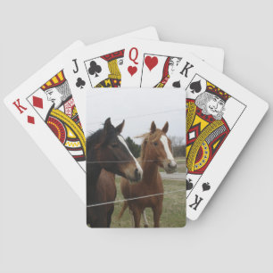 Baraja De Cartas Dos Caballos