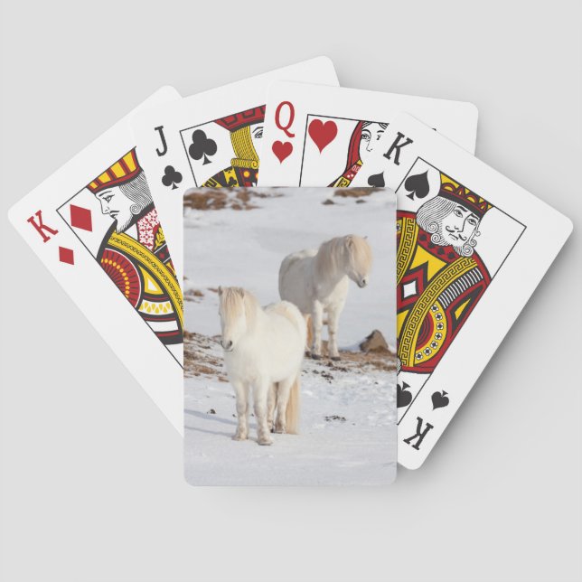 Baraja De Cartas Dos caballos islandeses blancos (Reverso)