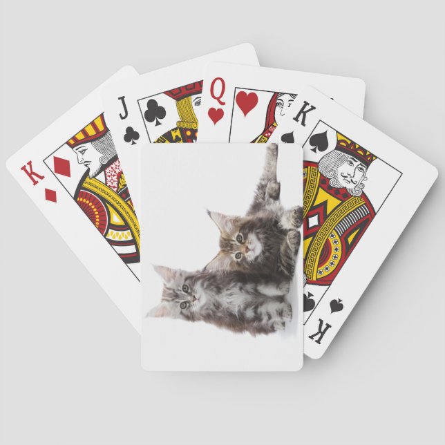Baraja De Cartas Dos gatitos de Maine coon cat (Reverso)