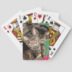Baraja De Cartas Dos gatos sonando