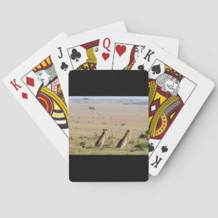 Baraja De Cartas Dos guepardos en la vista hacia fuera