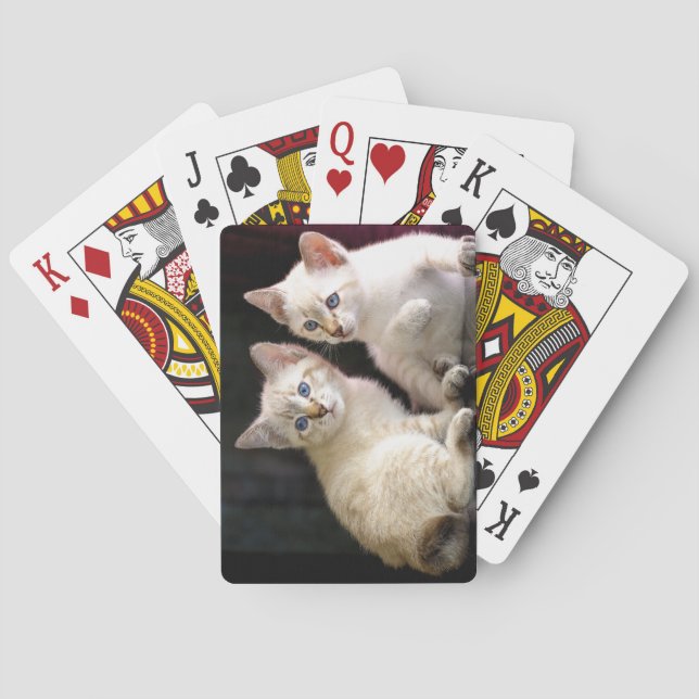 Baraja De Cartas Dos Mekong Bobtail Tabby Point Kittens (Reverso)