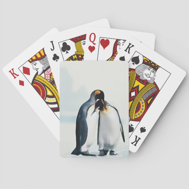 Baraja De Cartas Dos pingüinos cariñosos (Reverso)