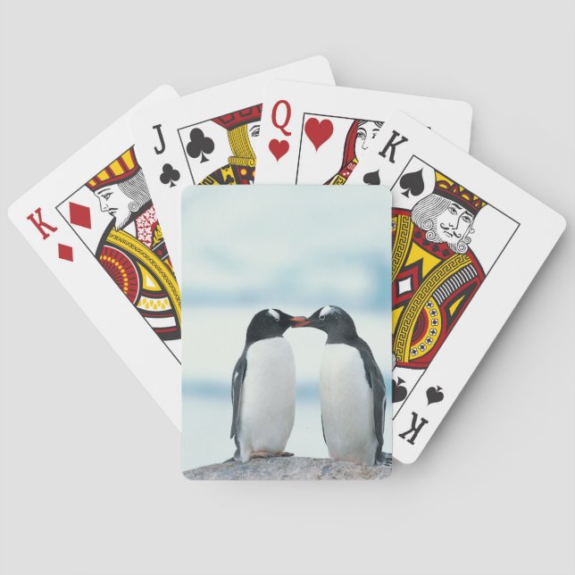 Baraja De Cartas Dos pingüinos que tocan los picos (Reverso)