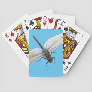 Baraja De Cartas Dragón