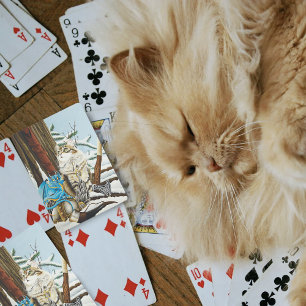 Baraja De Cartas Dragón azul Viking Cat