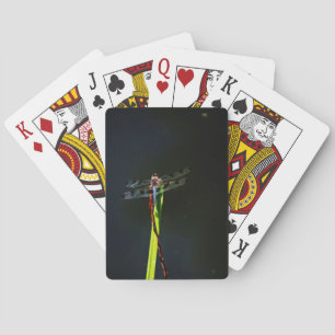 Baraja De Cartas Dragonfly azul y negro sobre hierba verde y roja