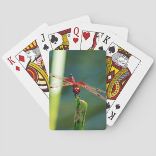 Baraja De Cartas Dragonfly Frontal Rojo y Negro