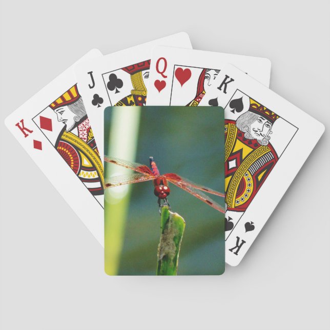 Baraja De Cartas Dragonfly Frontal Rojo y Negro (Reverso)