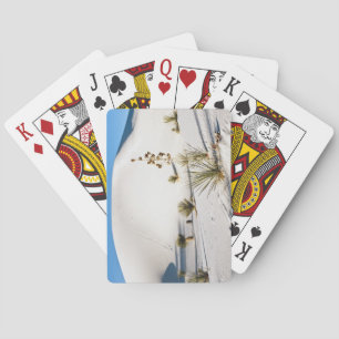 Baraja De Cartas Dunas transversales y Yucca Soaptree