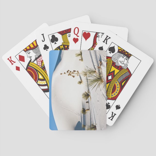 Baraja De Cartas Dunas transversales y Yucca Soaptree (Reverso)