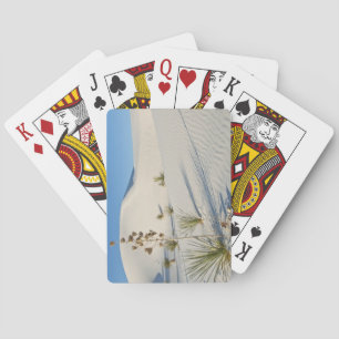 Baraja De Cartas Dunas transversales, Yucca, sombras