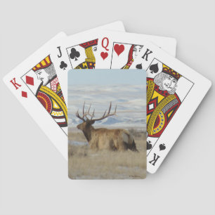 Baraja De Cartas E22 Alce Toro y Colinas Nevadas