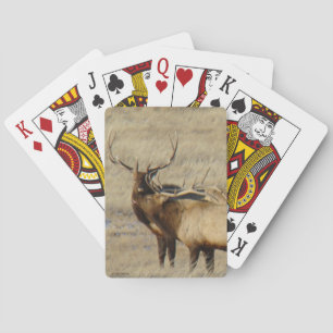 Baraja De Cartas E24 Alce Toro