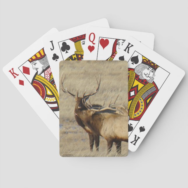 Baraja De Cartas E24 Alce Toro (Reverso)