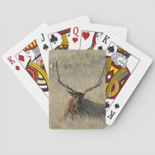 Baraja De Cartas E25 Alce de toro en hierba