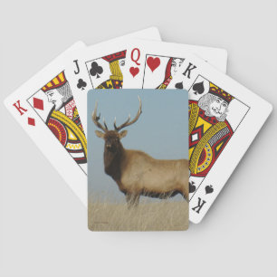 Baraja De Cartas E43 Bull Elk Sky Lined