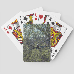 Baraja De Cartas Eagle Awareness