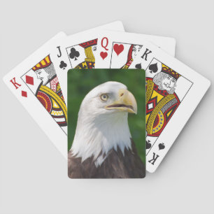 Baraja De Cartas Eagle calvo