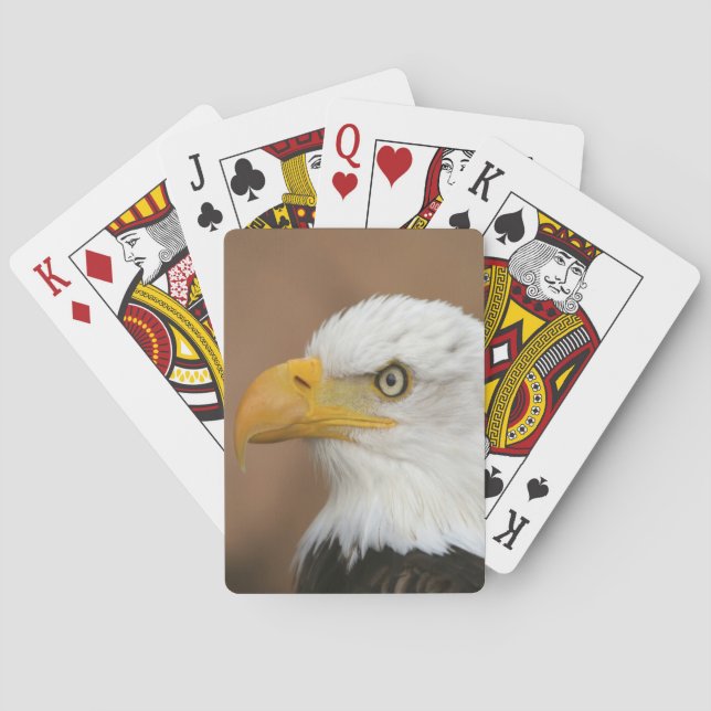 Baraja De Cartas Eagle calvo hermoso (Reverso)