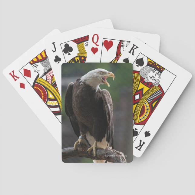 Baraja De Cartas Eagle calvo llamada (Reverso)